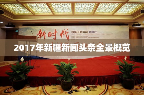 2017年新疆新聞?lì)^條全景概覽