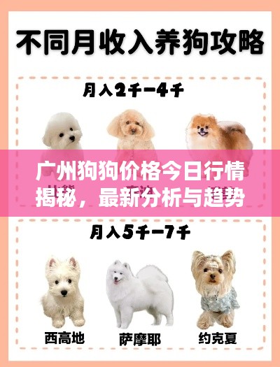 廣州狗狗價(jià)格今日行情揭秘，最新分析與趨勢(shì)預(yù)測(cè)