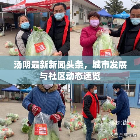 湯陰最新新聞?lì)^條，城市發(fā)展與社區(qū)動(dòng)態(tài)速覽