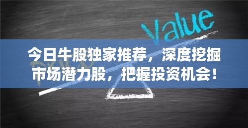 今日牛股獨(dú)家推薦，深度挖掘市場(chǎng)潛力股，把握投資機(jī)會(huì)！