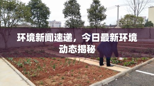 環(huán)境新聞速遞，今日最新環(huán)境動態(tài)揭秘