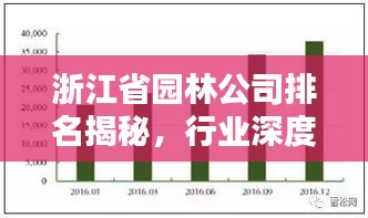 浙江省園林公司排名揭秘，行業(yè)深度分析與評估
