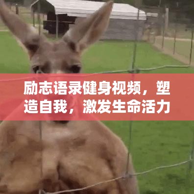 勵志語錄健身視頻，塑造自我，激發(fā)生命活力