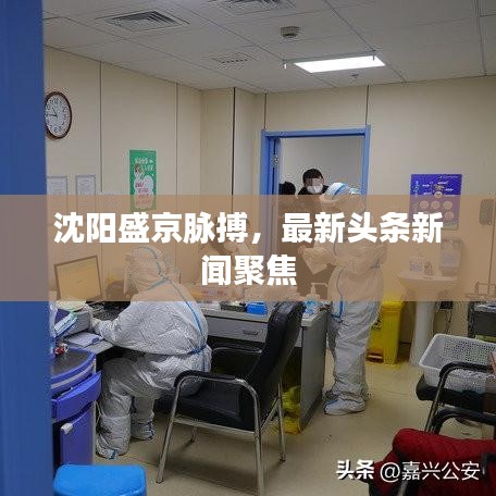 沈陽(yáng)盛京脈搏，最新頭條新聞聚焦