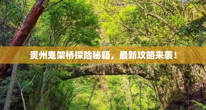 貴州鬼架橋探險秘籍，最新攻略來襲！