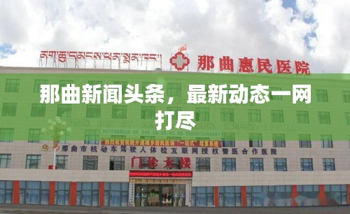 那曲新聞?lì)^條，最新動(dòng)態(tài)一網(wǎng)打盡