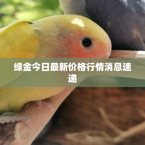 綠金今日最新價格行情消息速遞