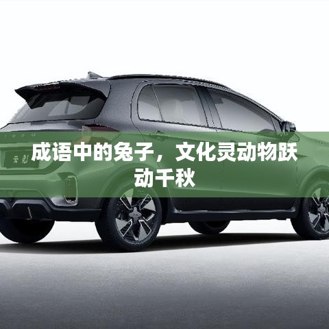 成語中的兔子，文化靈動物躍動千秋