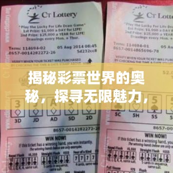 揭秘彩票世界的奧秘，探尋無限魅力，掌握T天下彩的秘訣（百度收錄）