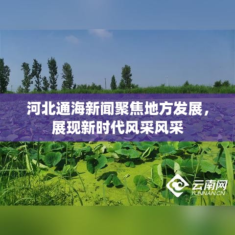 河北通海新聞聚焦地方發(fā)展，展現(xiàn)新時(shí)代風(fēng)采風(fēng)采