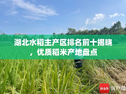 人前顯貴 第3頁(yè)