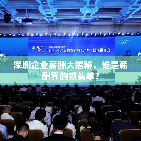 深圳企業(yè)薪酬大揭秘，誰是薪酬界的領頭羊？