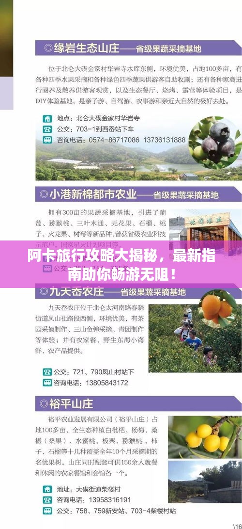 阿卡旅行攻略大揭秘，最新指南助你暢游無(wú)阻！