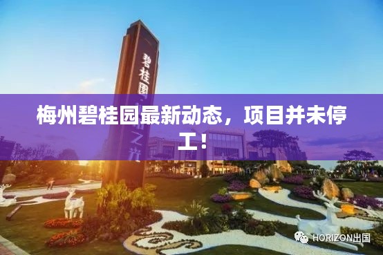 梅州碧桂園最新動態(tài)，項目并未停工！