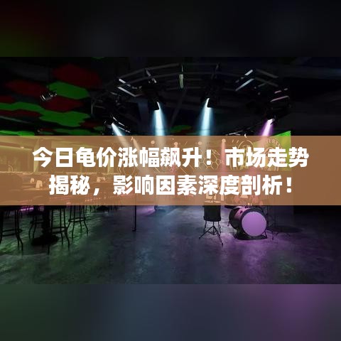 今日龜價(jià)漲幅飆升！市場(chǎng)走勢(shì)揭秘，影響因素深度剖析！