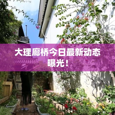 大理廊橋今日最新動(dòng)態(tài)曝光！