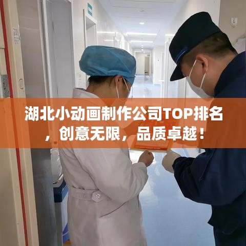 湖北小動(dòng)畫制作公司TOP排名，創(chuàng)意無限，品質(zhì)卓越！