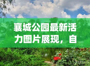 襄城公園最新活力圖片展現(xiàn)，自然盛景下的生機(jī)勃勃景象！
