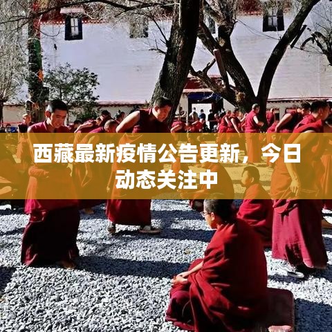 西藏最新疫情公告更新，今日動(dòng)態(tài)關(guān)注中