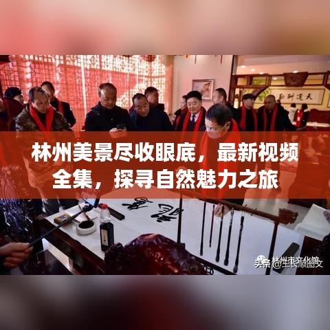 林州美景盡收眼底，最新視頻全集，探尋自然魅力之旅