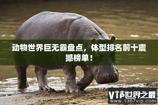 動物世界巨無霸盤點，體型排名前十震撼榜單！