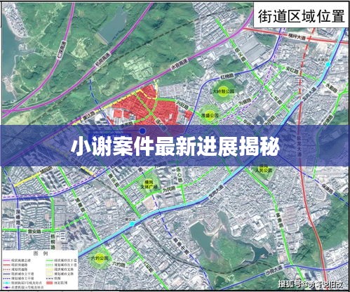 小謝案件最新進展揭秘
