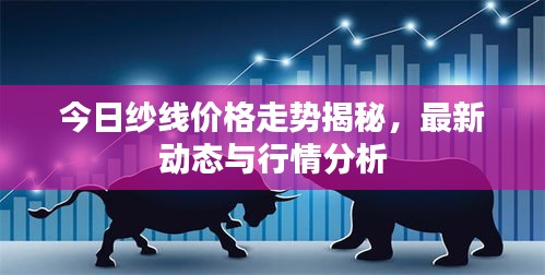 今日紗線價(jià)格走勢(shì)揭秘，最新動(dòng)態(tài)與行情分析