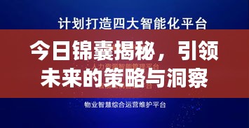 今日錦囊揭秘，引領(lǐng)未來的策略與洞察最新消息