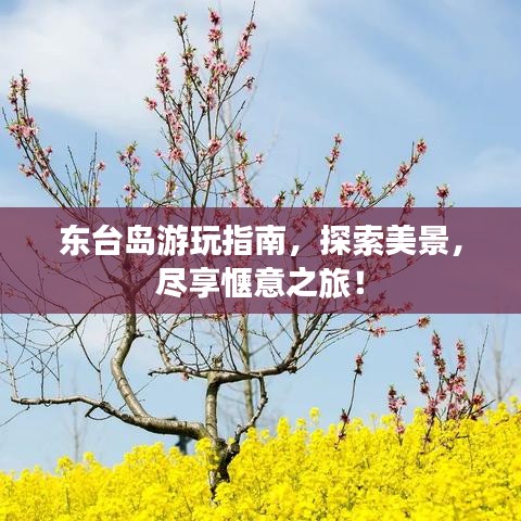 東臺島游玩指南，探索美景，盡享愜意之旅！
