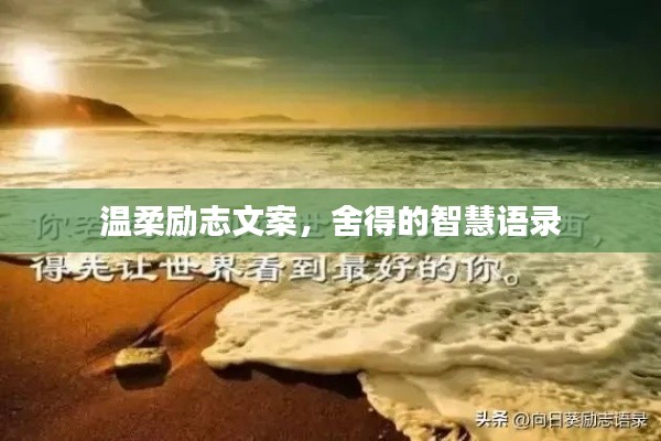 溫柔勵(lì)志文案，舍得的智慧語錄