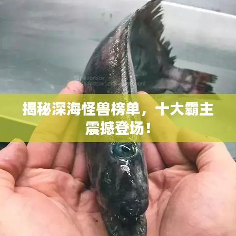 揭秘深海怪獸榜單，十大霸主震撼登場！
