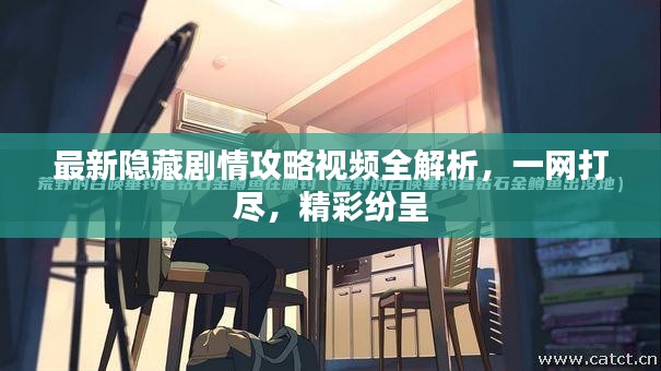 最新隱藏劇情攻略視頻全解析，一網(wǎng)打盡，精彩紛呈