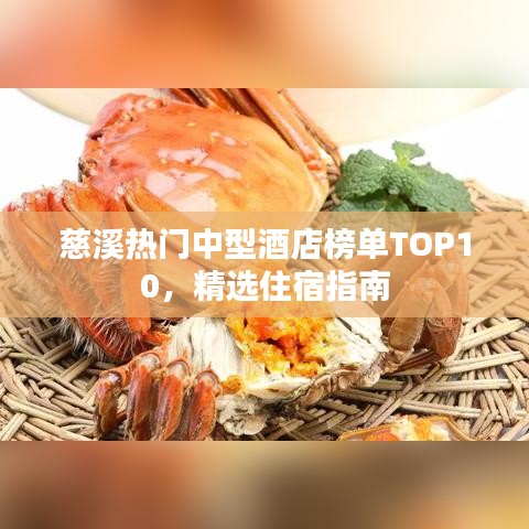 慈溪熱門中型酒店榜單TOP10，精選住宿指南