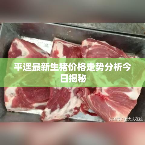 平遙最新生豬價格走勢分析今日揭秘