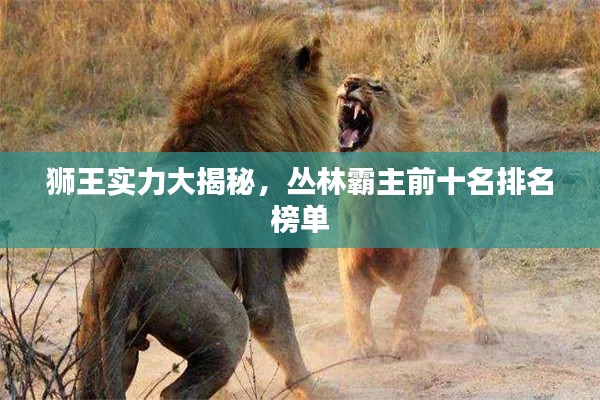 獅王實力大揭秘，叢林霸主前十名排名榜單