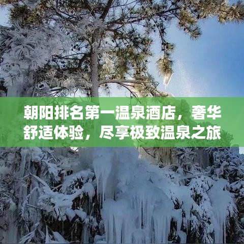 朝陽排名第一溫泉酒店，奢華舒適體驗，盡享極致溫泉之旅