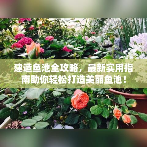 建造魚(yú)池全攻略，最新實(shí)用指南助你輕松打造美麗魚(yú)池！