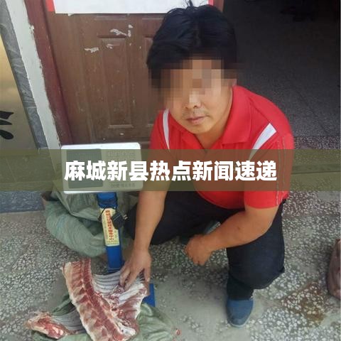 麻城新縣熱點新聞速遞