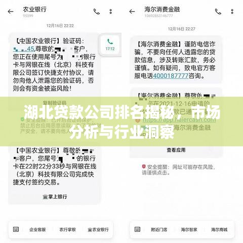 湖北貸款公司排名揭秘，市場(chǎng)分析與行業(yè)洞察
