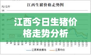 江西今日生豬價格走勢分析