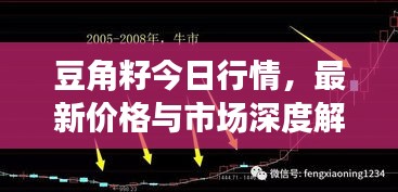 豆角籽今日行情，最新價(jià)格與市場(chǎng)深度解析