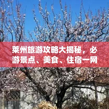 萊州旅游攻略大揭秘，必游景點(diǎn)、美食、住宿一網(wǎng)打盡！