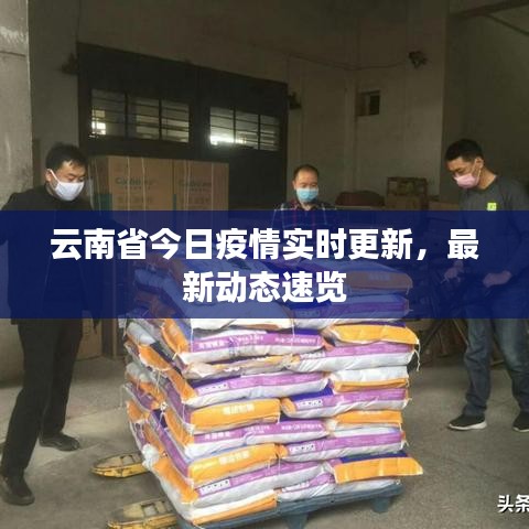 云南省今日疫情實(shí)時(shí)更新，最新動(dòng)態(tài)速覽