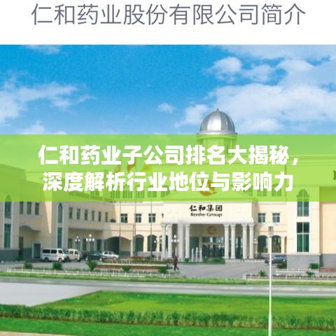 仁和藥業(yè)子公司排名大揭秘，深度解析行業(yè)地位與影響力