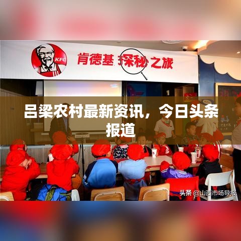 呂梁農(nóng)村最新資訊，今日頭條報(bào)道