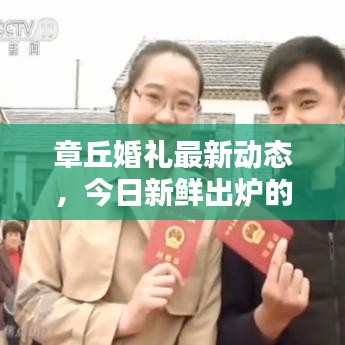 章丘婚禮最新動(dòng)態(tài)，今日新鮮出爐的婚禮消息匯總