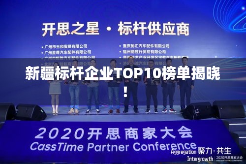 新疆標(biāo)桿企業(yè)TOP10榜單揭曉！