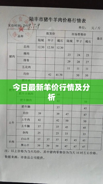 今日最新羊價(jià)行情及分析