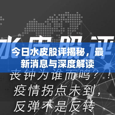 今日水皮股評(píng)揭秘，最新消息與深度解讀