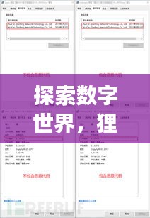 探索數(shù)字世界，貍窩下載器助你輕松百度暢游